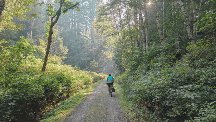 This 114-Mile Bike Route Is One of the Best Ways to See Washington