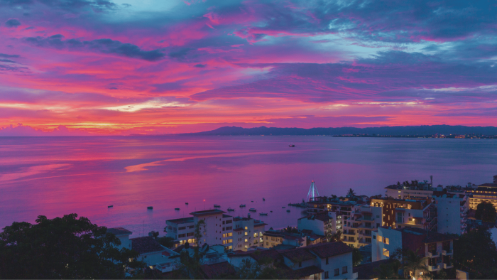 Finding Nature and Nurture in Puerto Vallarta