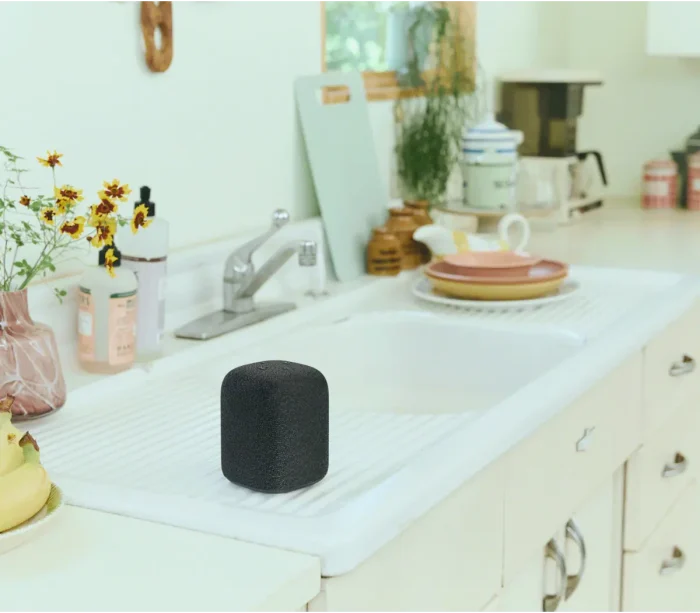 Sony LinkBuds Portable Wireless Speaker