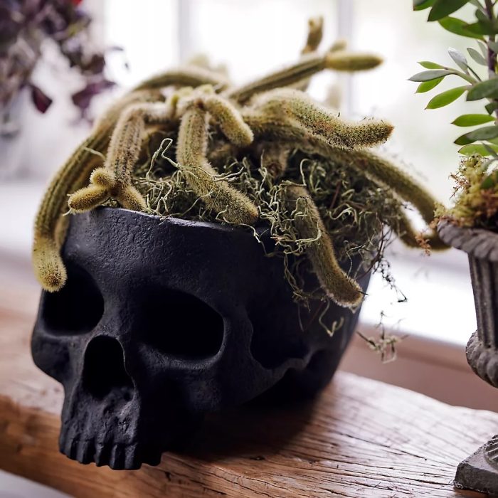 Terrain Fiber Stone Skull Planter